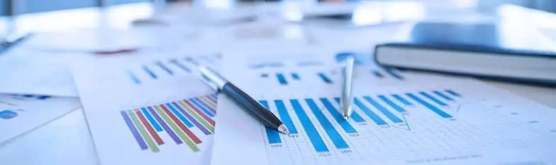 Strateji ve Yönetim Danışmanlığı